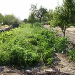El Majano Montánchez