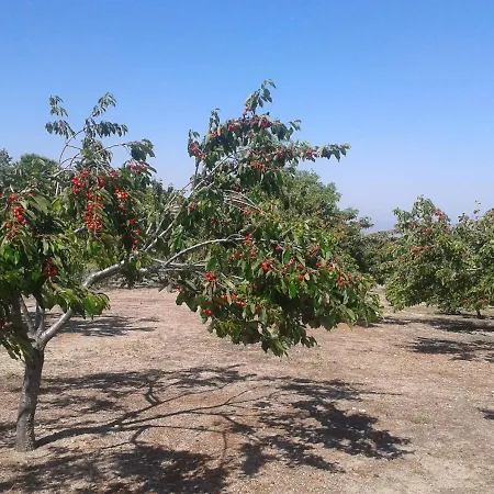 El Majano * Montánchez