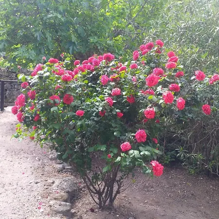 El Majano Country house