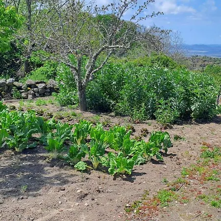 El Majano Lantställe *