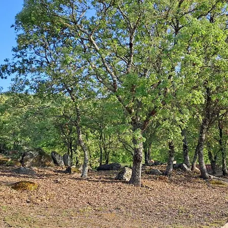 Lantställe El Majano *