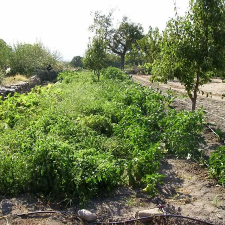 El Majano Montánchez