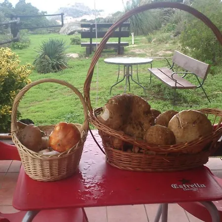 El Majano Montanchez