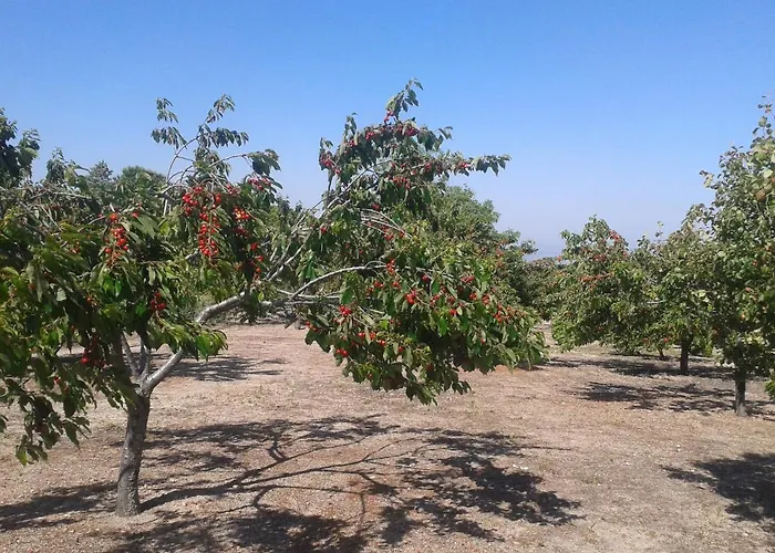 El Majano * Montánchez
