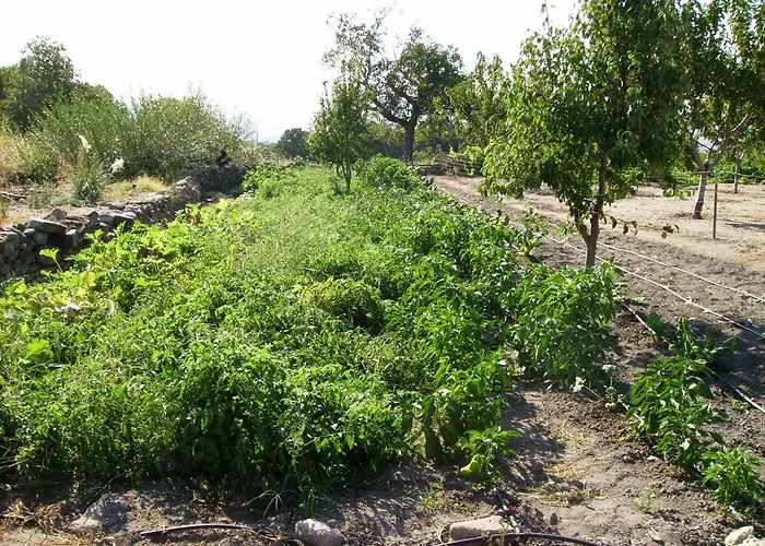 El Majano Montánchez