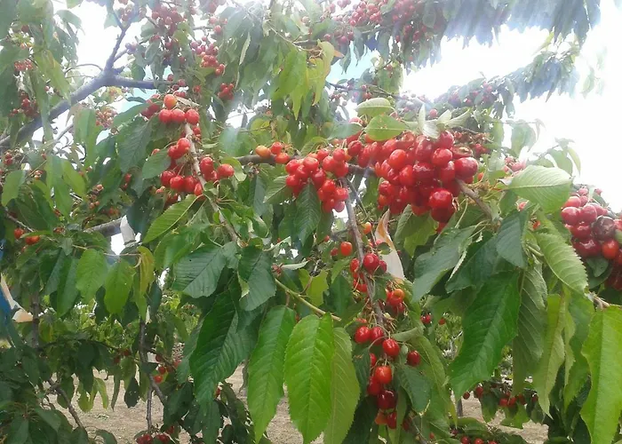 El Majano Montánchez